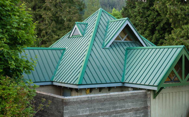 Best Solar Panel Roofing Installation  in Byhalia, MS