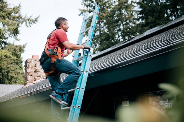 Best Roof Insulation Installation  in Byhalia, MS